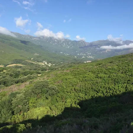 Отель типа 